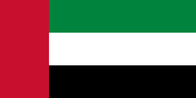 Dubai flag