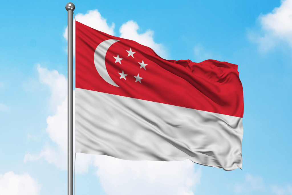 Singapore E-Visa